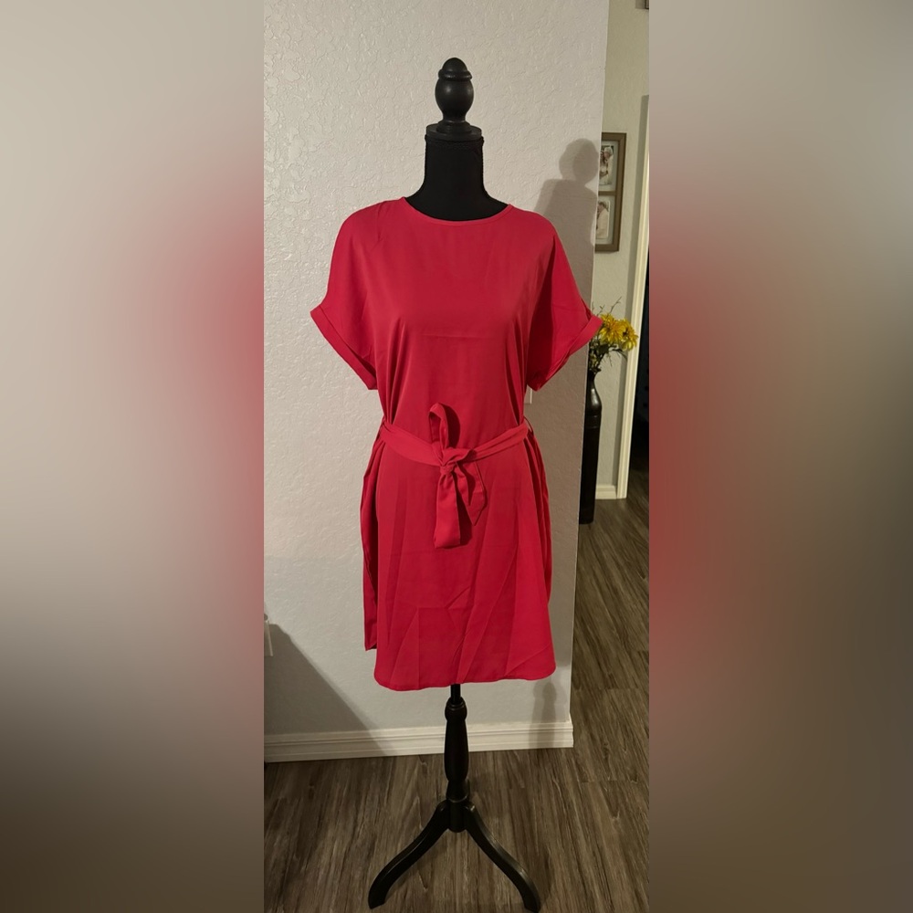 NWOT Pink dress with waist tie